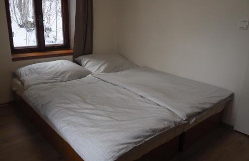 Janov nad Nisou Ski Chalet | Draslovanka