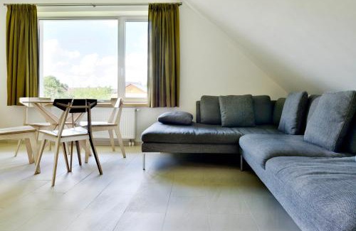 Druskininkai House | Draugų namai