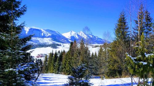 Bachledova dolina Ski Chalet | Drevenica Goralský Dvor