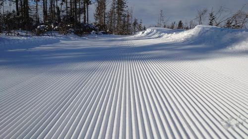 Bachledova dolina Ski Chalet | Drevenica Goralský Dvor