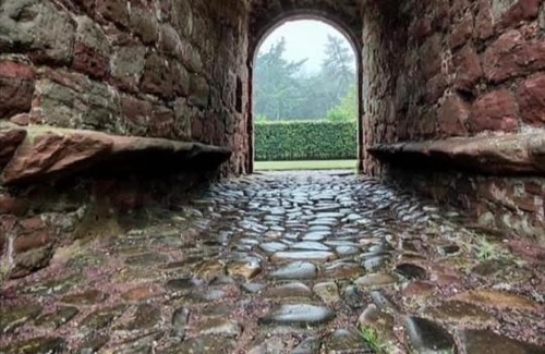 Montrose Apartment | Driftwood