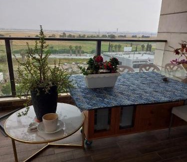 Yehud Apartment | Dudger home