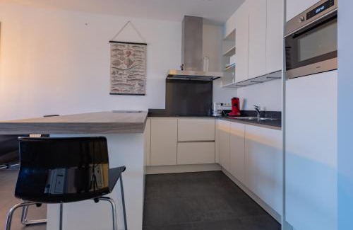 Cadzand-Bad Apartment | Duinhof VIII D201