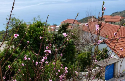 Lukove House | Duka's House