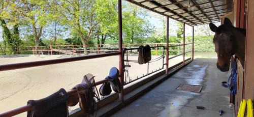 Vukovar Bed & Breakfast | Dunavski raj