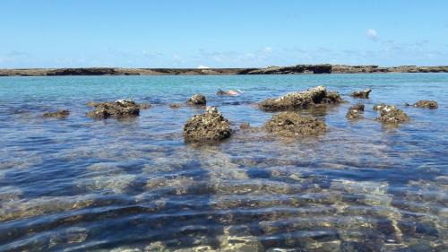 Inhambane Province Cabin | Dunes de Dovela eco-lodge