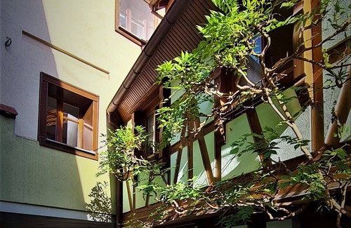 Obernai Apartment | Duplex au Centre Avec Parking - L'étoile