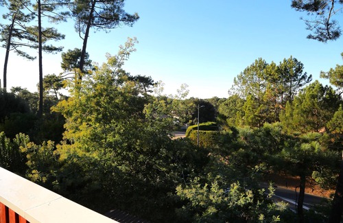 L'Herbe Villa | duplex villa 50 M2 NEW one bedroom 5 beds 200M BEACHES