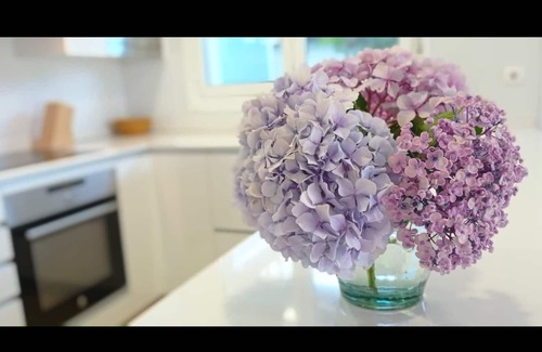 Hernani House | Duplex with Hernani garden