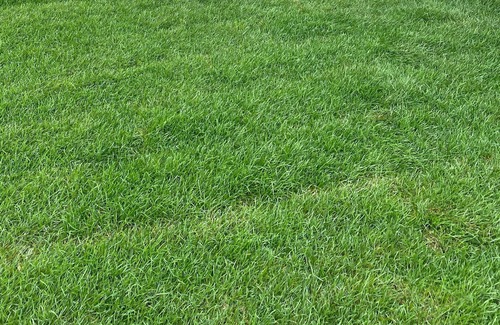 Durham House | Durham Oasis, Relax, unwind and Rejuvenate