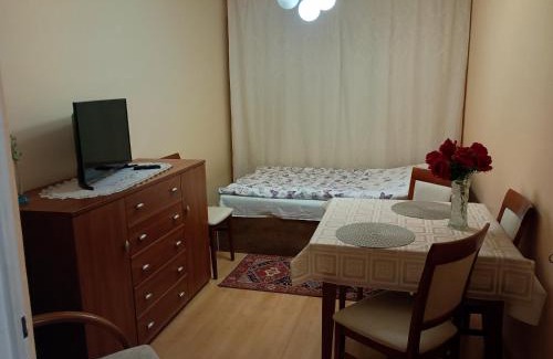 Siedlce Apartment | Dwupokojowe mieszkanie 36 m 2 z balkonem