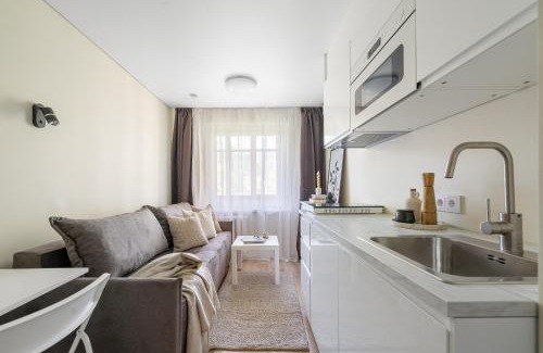 Vilnius Apartment | Dzūkų white cozy Apartments near Railway station