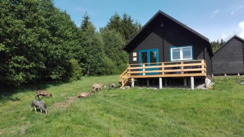 gmina Lewin Kłodzki House | Dziewięćsił Blisko ziemi Góry Stołowe Duszniki Zdrój