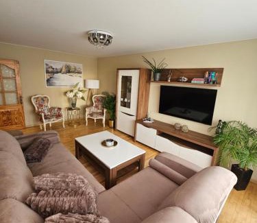 Siauliai Apartment | E D Arena View Apartment