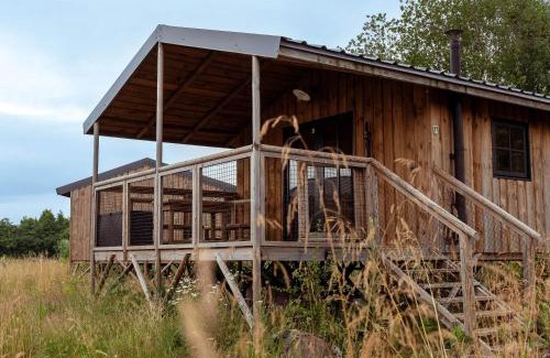 Ecaussinnes Cabin | Ecau Lodge - Logement insolite à 30km de Pairi Daiza