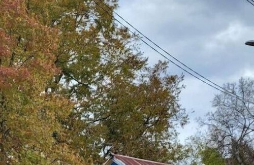 Edom Other | Eclectic Edom: The Homestead