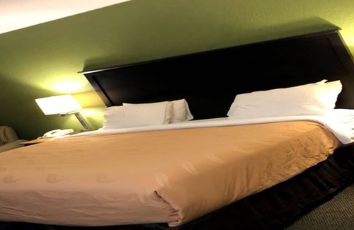 Wesley Chapel Hotel | Econo Lodge