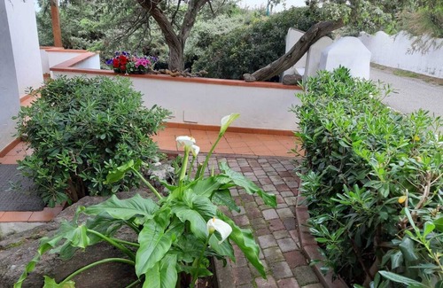 Eden Beach House | Eden Beach Rana cottage