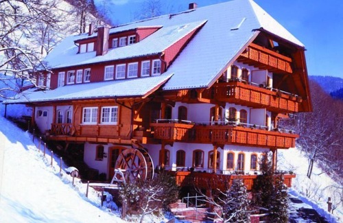 Bad Peterstal-Griesbach Apartment | Ehrenmättlehof: Ferienwohnung E10, 45qm, Wohn-/Schlafbereich, max. 3 Personen