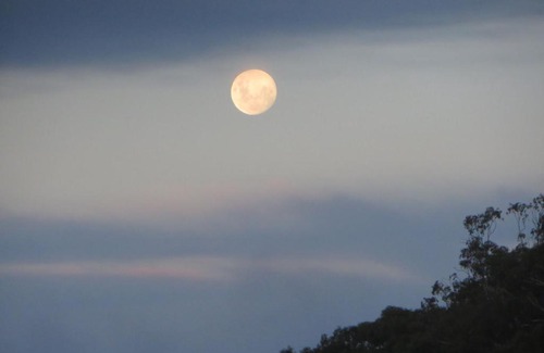 Eildon Hotel | Eildon Parkview Motor Inn Room 10