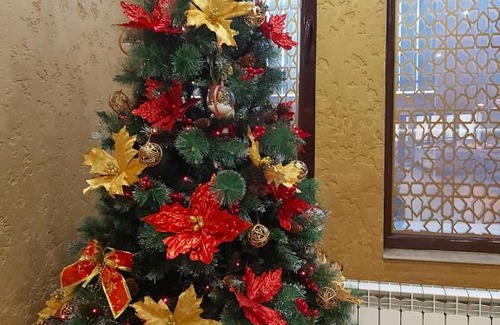 Cahul Hotel | El Cairo Cahul