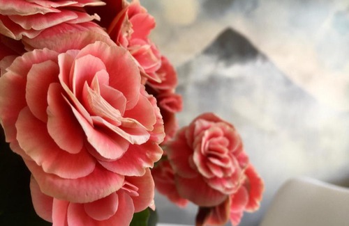 Ribes De Freser Apartment | El Cau de Ribes