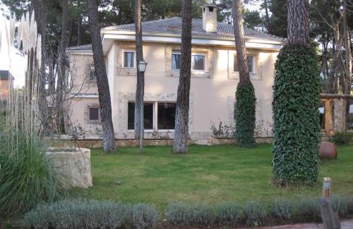 Jabaga House | El Chalet del Pinar