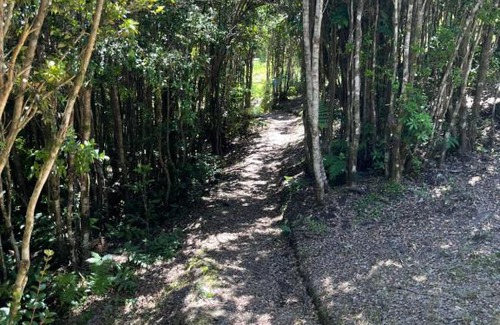 Pucatrihue House | El chucao