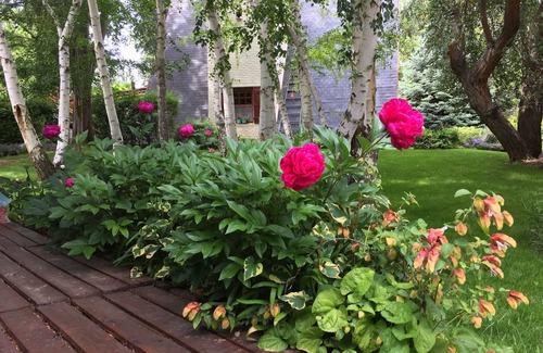 Trelew Cabin | El Colibri Cabañas de la Naturaleza