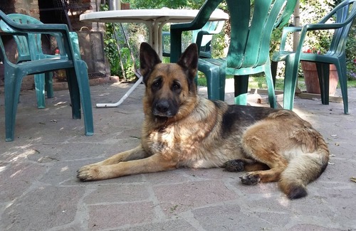 Trelew Cabin | El Colibri Cabañas de la Naturaleza