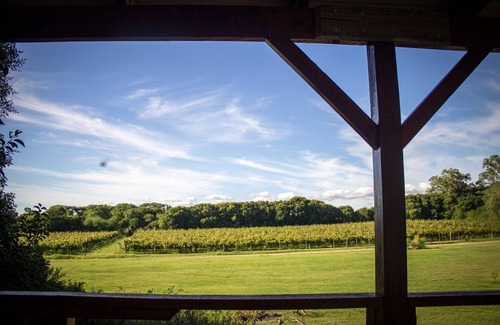 Colonia del Sacramento Cabin | El Nido - Treehouse - The Nest - Sleep and enjoy life in a Treehouse