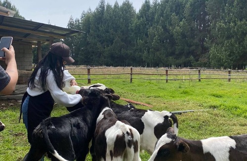 Saraguro House | El Prado Glamping