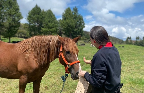Saraguro House | El Prado Glamping