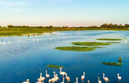 San Nicolas de los Arroyos Apartment | El Trovador Alquileres Temporarios Zona Norte