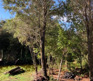 Puerto Montt House | El Viloche - Tiny House