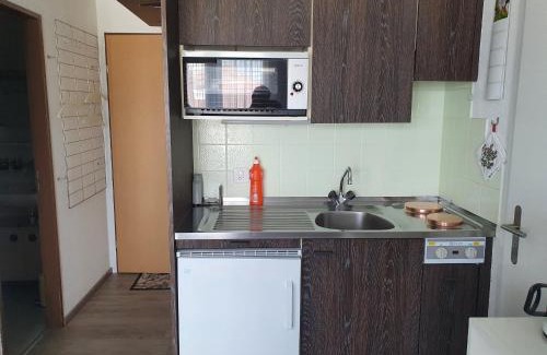 Emmetten Apartment | Elfe-Apartments Studio Apartment for 2 guests