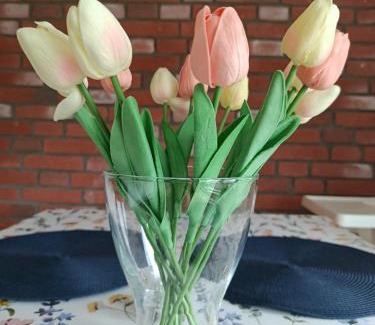 Zator Apartment | EliBlue -Twój apartament