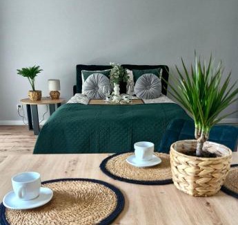 Jezyce Apartment | Elite Home 1 Jeżyce- Barańczaka 1