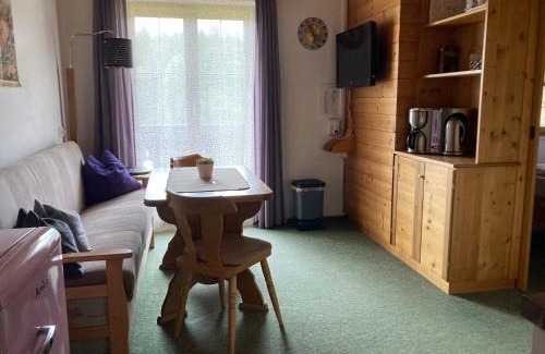 Pfarrwerfen House | Ellmauhof