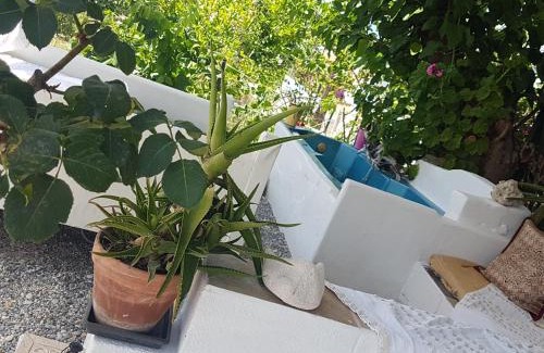 Achinos House | Eloise