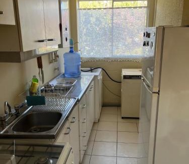 Vicuna Apartment | Elqui Antu