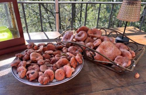 Vilallonga de Ter Apartment | Els Pins d'Abella