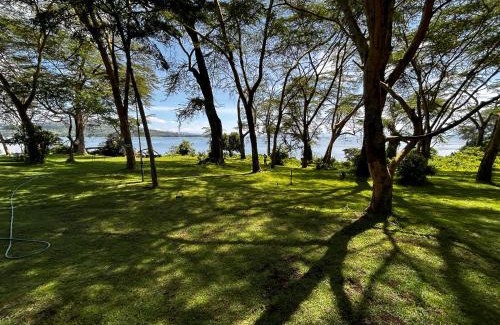 Naivasha Hotel | Elsamere Lodge Naivasha