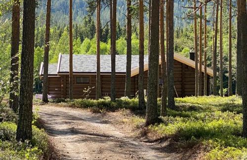 Engerdal Municipality House | ElveRo Lodge