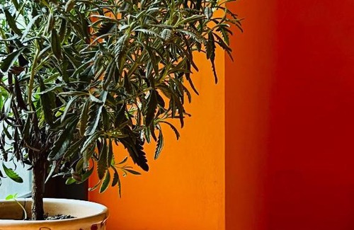 Quy Nhon House | Em's Garden Quy Nhơn