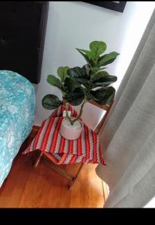 Covicorti Apartment | En el centro Con cochera