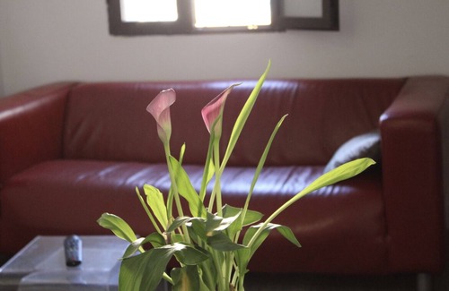 Margallo Apartment | En pleno corazón del casco antiguo de Cáceres.