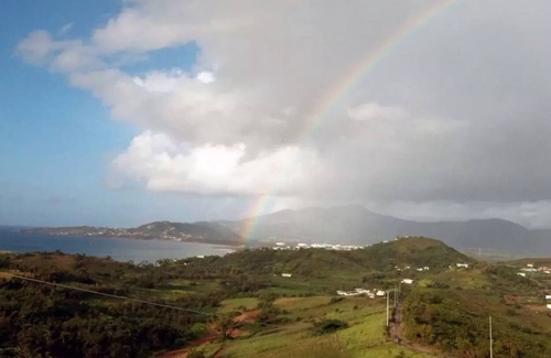 Tejas House | Enjoy ocean views and breezes as you relax in one of the hammocks on the deck