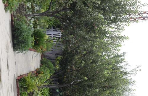 Aleo House | Enthralling Escapes Nature Stay and Trek