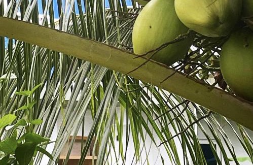 Gan House | Entire Home - Calm Beach Inn